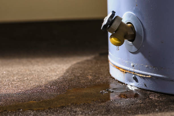 Best Local water damage restoration  in Chapin, SC