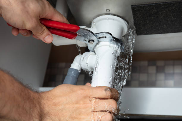 Best Flood restoration services  in Chapin, SC