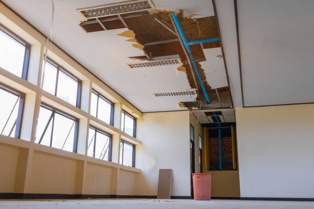Best Ceiling water damage repair  in Chapin, SC
