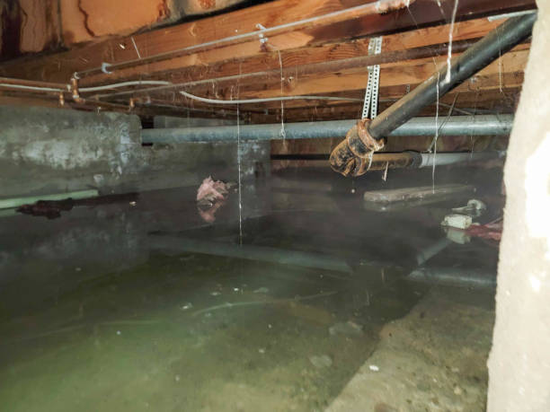 Professional Water damage restoration in SC