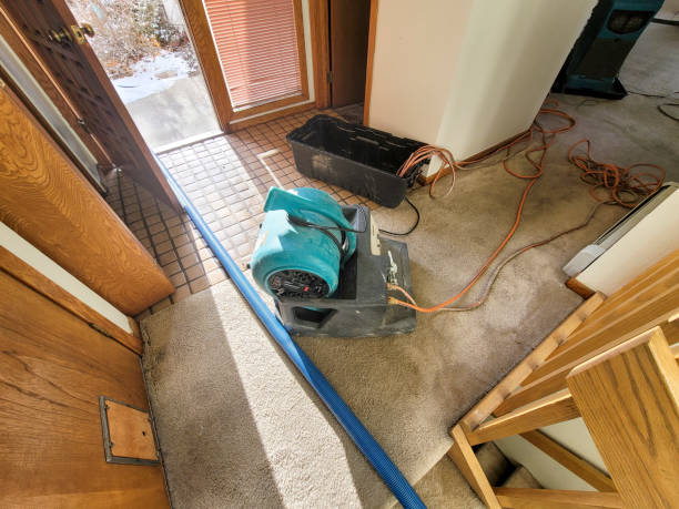 Best Water damage repair service  in Chapin, SC