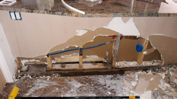 Best Ceiling water damage repair  in Chapin, SC
