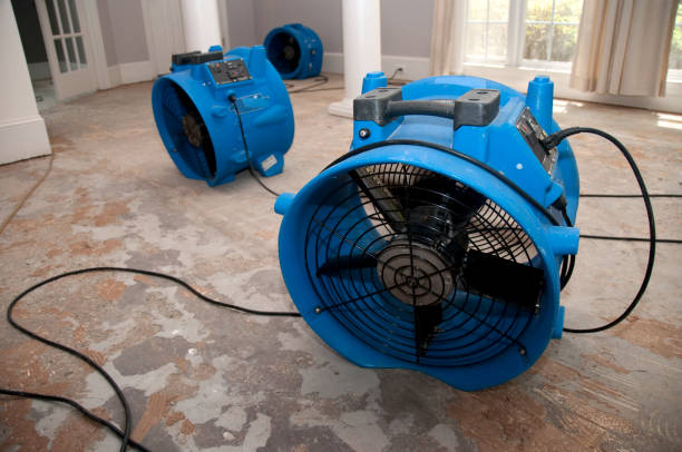  Chapin, SC Water damage restoration Pros
