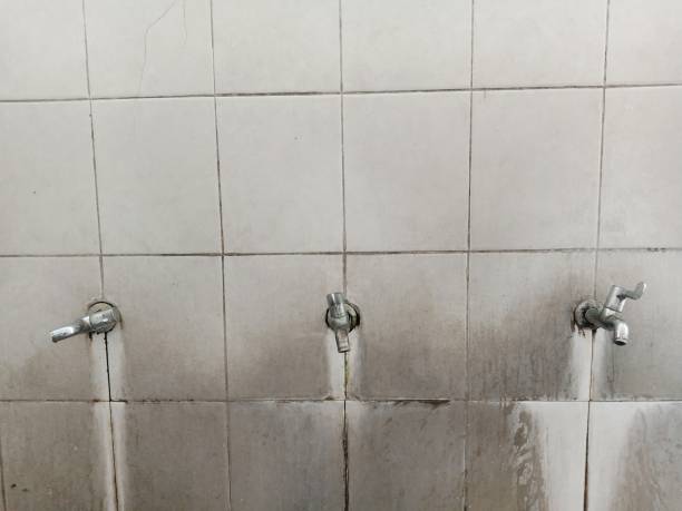 Best Carpet water damage restoration  in Chapin, SC