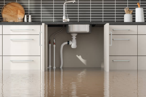 Best Water damage restoration near me  in Chapin, SC