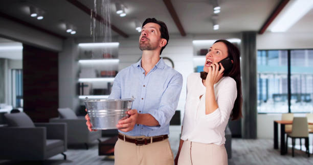Best Water damage cleanup near me  in Chapin, SC