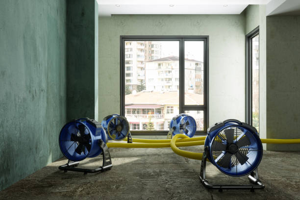 Water damage restoration mold remediation in SC