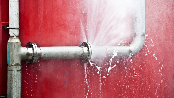 Best Water damage restoration cost  in Chapin, SC