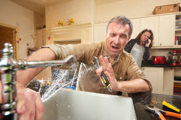 Best Sewage cleanup and water damage restoration  in Chapin, SC